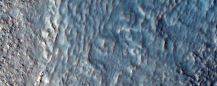 Pitted Terrain Contact

