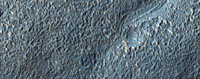 Branched Valleys on Southern Mid-Latitude Crater Rim
