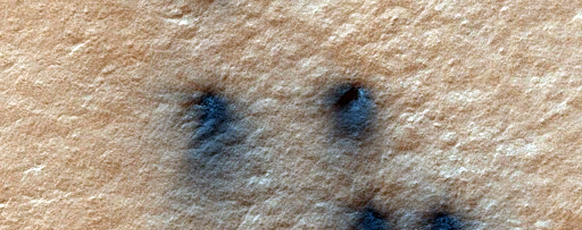 Spiders on Ejecta Blankets
