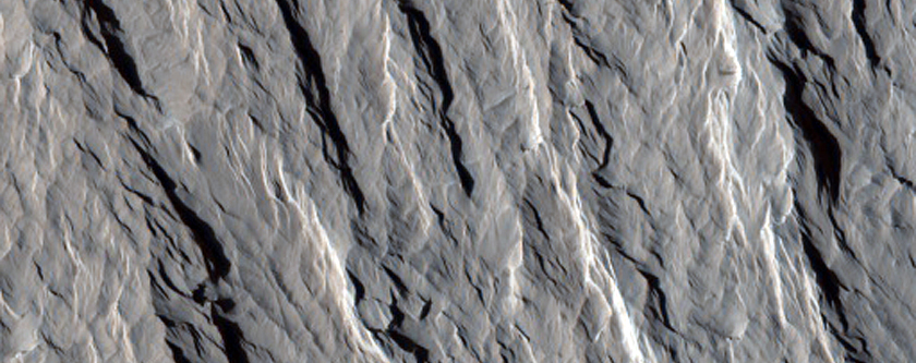 Layered Materials and Blocks in Olympus Mons Aureole
