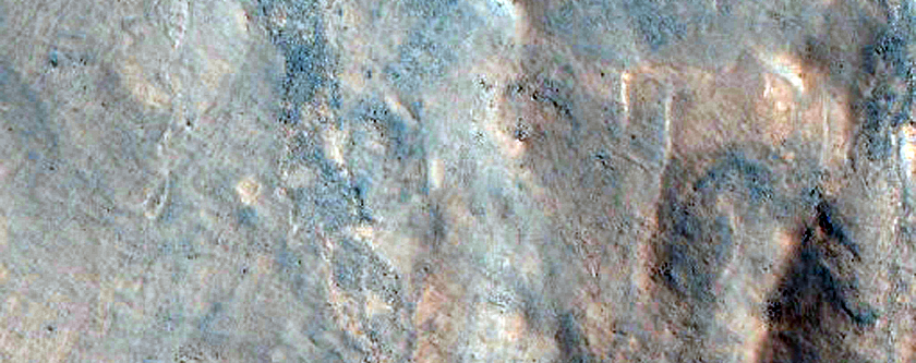 Phyllosilicate-Bearing Layered Deposits in Nilosyrtis Mensae Crater Walls

