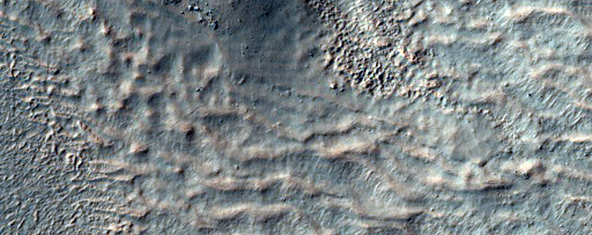 Possible Gullies in Crater in Terra Sirenum

