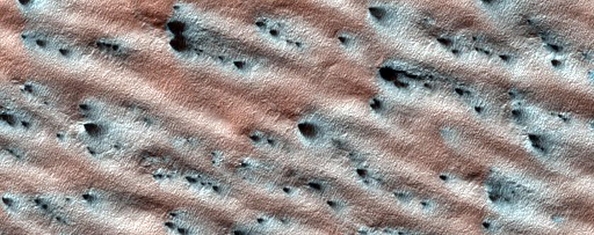 Lobe of Material with Spiders

