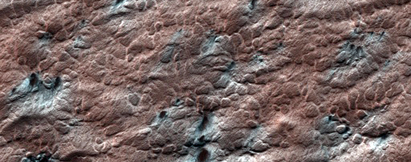 Spiders on Sastrugi
