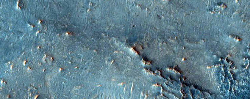 Candidate Landing Site for 2020 Mission at Nili Fossae
