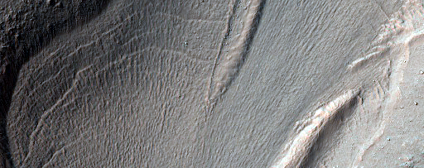 Lobate Flow Feature within Channel in Nereidum Montes
