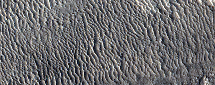 Layers in a Trough in Mareotis Fossae
