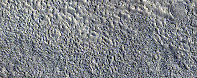 Northern Plains
