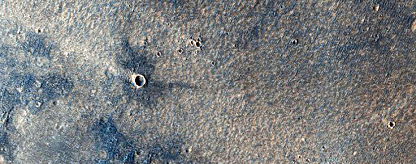Albedo Boundary

