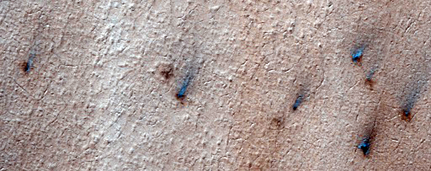Spiders on Ejecta Blanket
