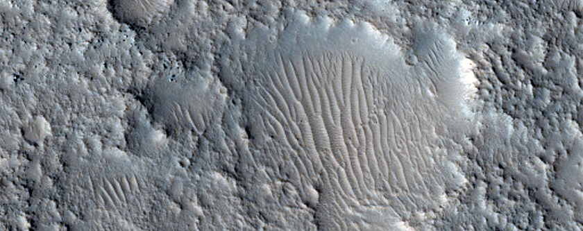 Albedo Boundary
