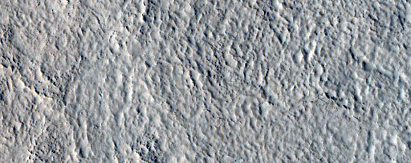 Nilosyrtis Mensae

