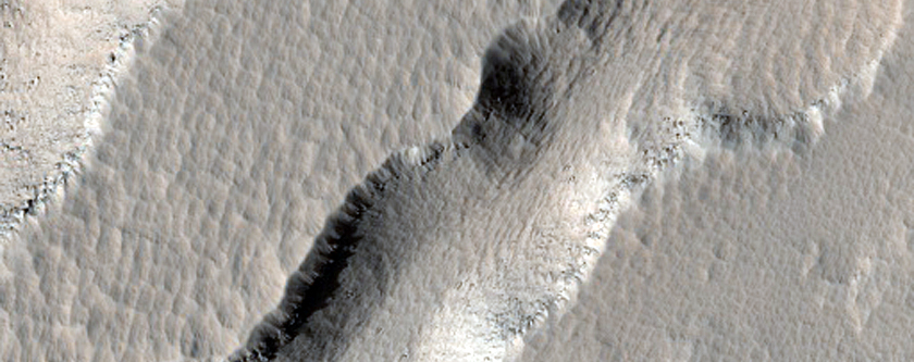 Fractures in Elysium Mons Aureole
