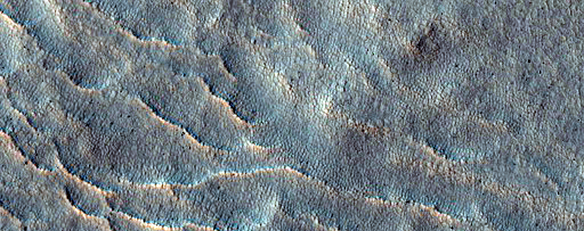 Gullies in Porter Crater
