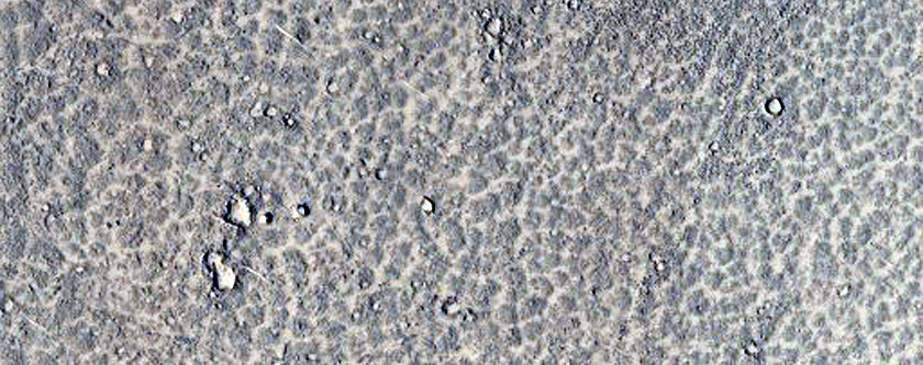 Lava Flow Lobe with Polygonal Patterns in Elysium Planitia
