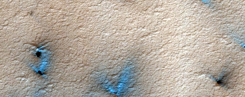Spiders Not on South Polar Layered Deposits
