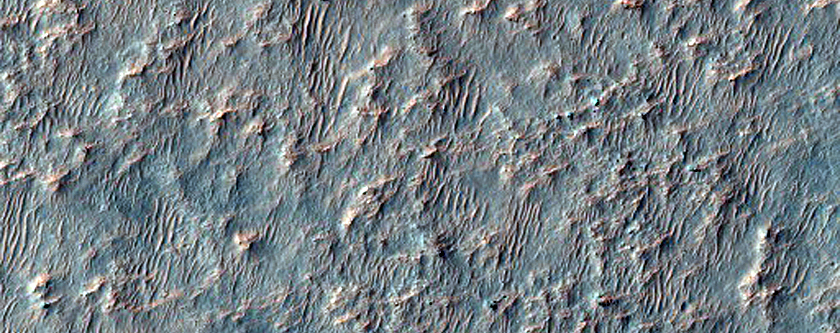 Terra Cimmeria
