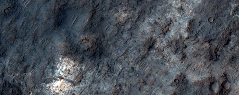 Crater Floor in Terra Sirenum
