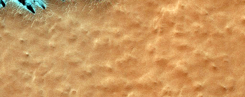 Monitor Seasonal Changes at South Polar Cracked and Gullied Site
