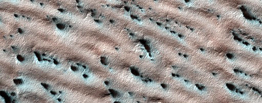 Lobe of Material with Spiders
