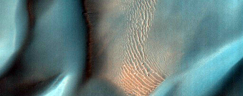 Proctor Crater Dune Gullies

