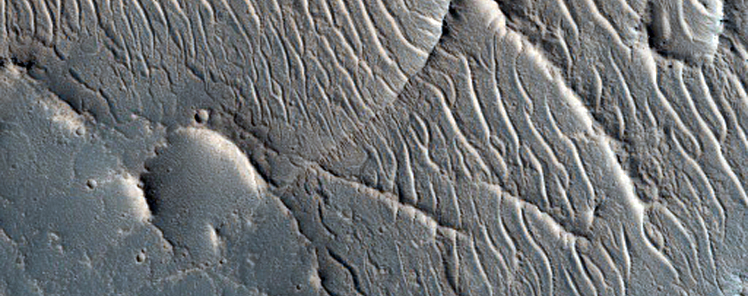 Network of Ridges in Tempe Terra
