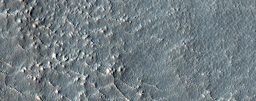 Mid-Latitude Terrain Sample
