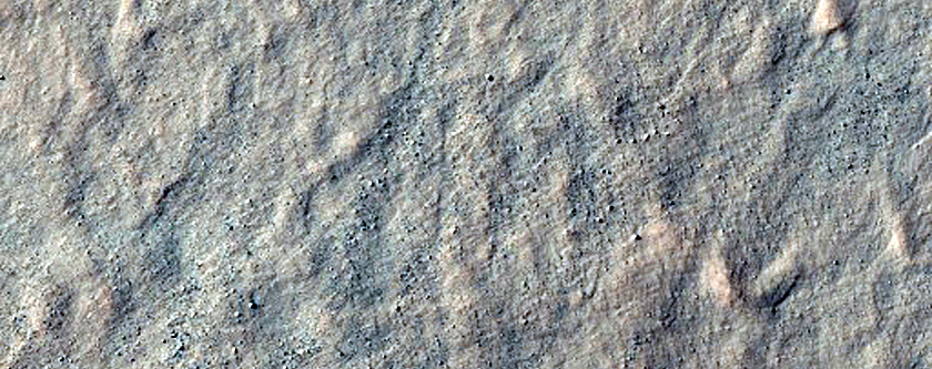 Gully Monitoring
