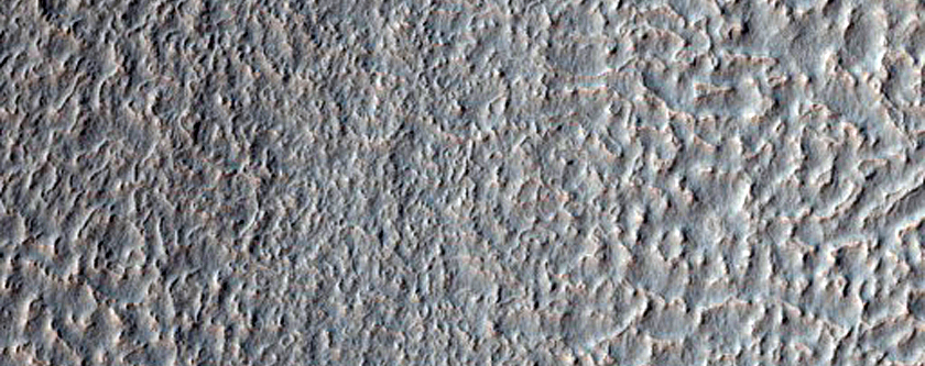 Gullies in Southern Mid-Latitude Crater
