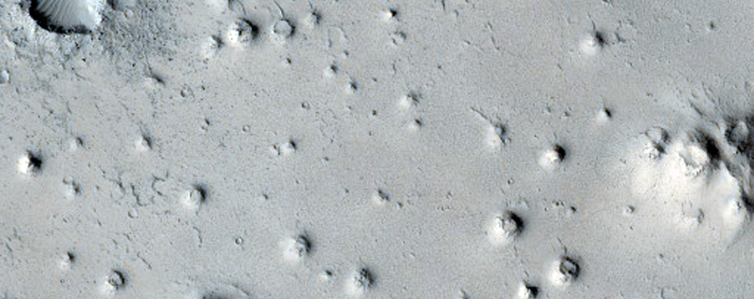 Cratered Cones in Elysium Planitia
