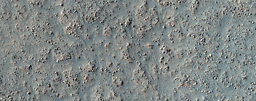 Crater Floor in Eridania Planitia
