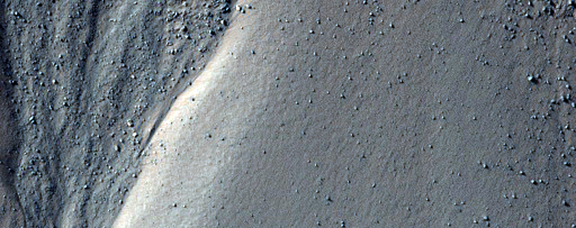 Gullies in CTX Image