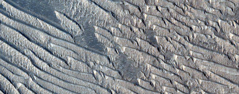 Dust Ridges in Daedalia Planum
