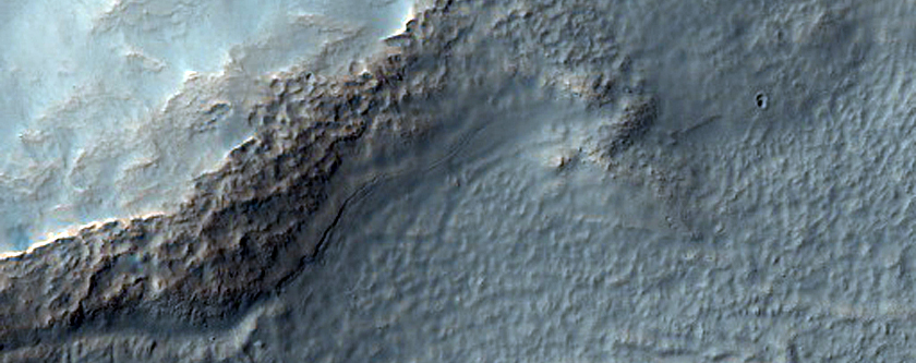Crater with High Density of Gullies in Terra Sirenum

