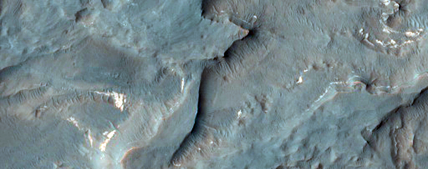 Candidate Landing Site for 2020 Mission in Eberswalde Crater

