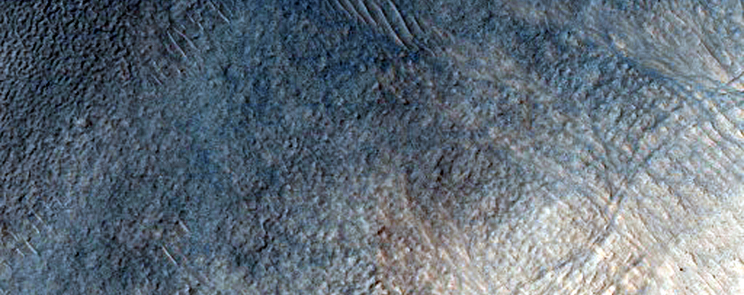 Gully Monitoring
