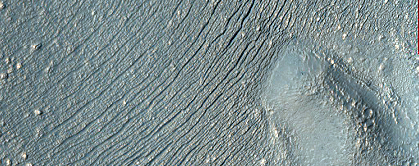 Linear Features Parallel to Crater Wall in South Mid-Latitude Crater
