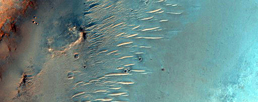 Possible Phyllosilicates in Crater Rim
