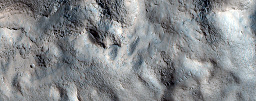 Extensive Cracks in Crater Floor Deposit Near Bamberg Crater
