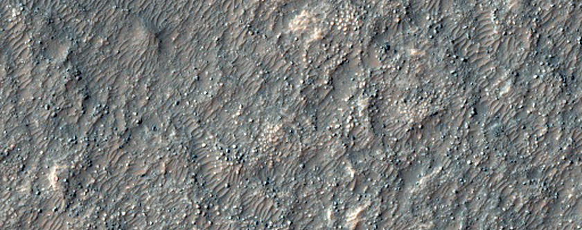 Olivine-Rich Flows in Terra Sirenum
