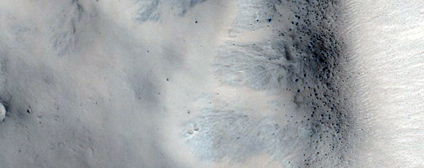 Well-Preserved 8-Kilometer Impact Crater North of Isidis Planitia
