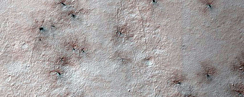 Spiders Not on South Polar Layered Deposits
