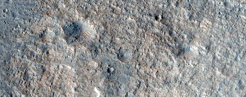Candidate Landing Site for 2020 Mission in Hypanis Valles Delta
