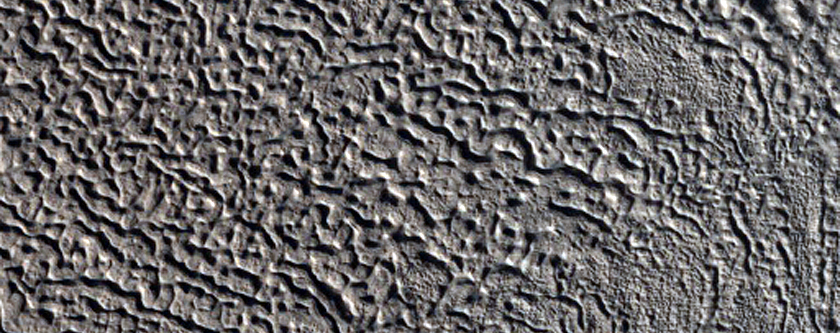 Crater Floor Features in North Tempe Terra
