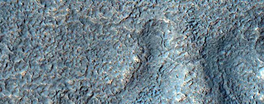 Warrego Valles
