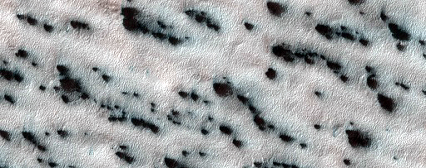 Lobe of Material with Spiders
