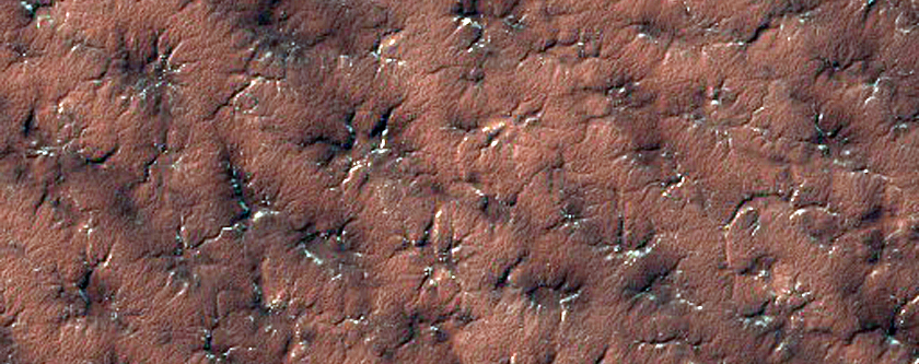 Caterpillar Dune Region
