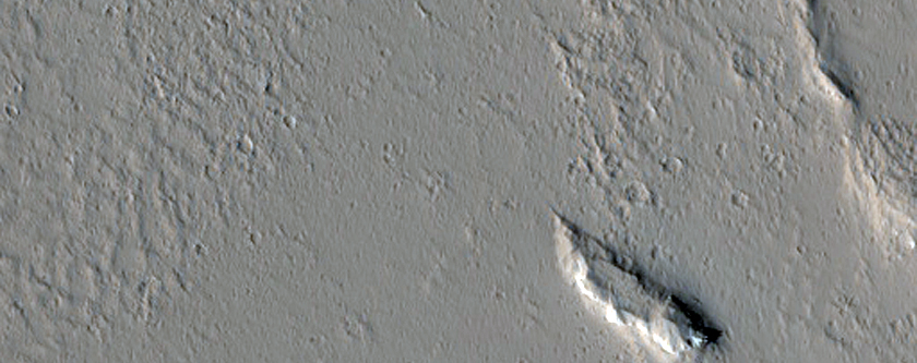 Vent Structure in Eastern Amazonis Planitia
