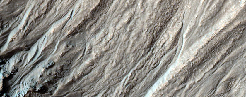 Gully Monitoring
