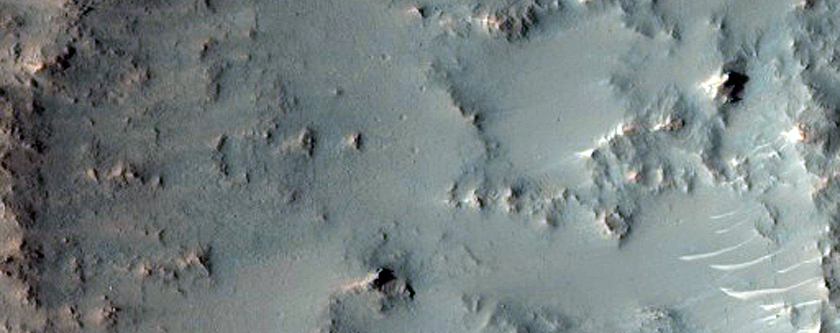 Crater with Phyllosilicates

